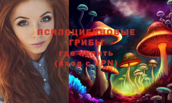 тгк Кулебаки