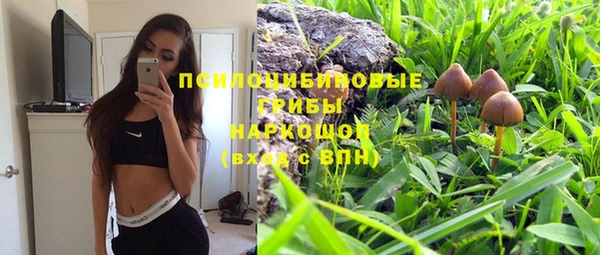 спиды Кукмор