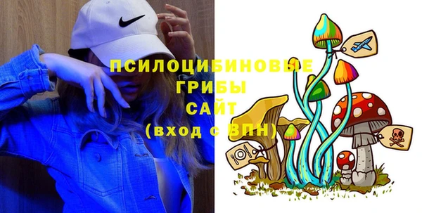 тгк Кулебаки