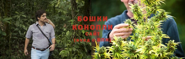 спиды Кукмор