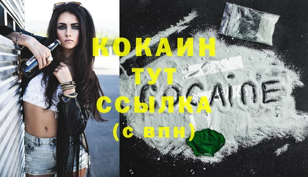 спиды Кукмор