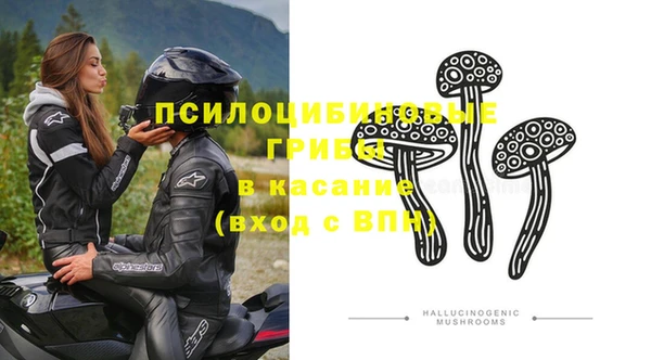 тгк Кулебаки