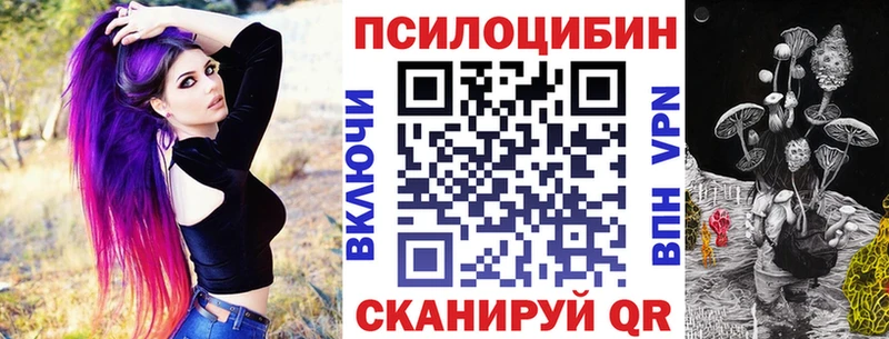 ОМГ ОМГ как войти  Онега  Галлюциногенные грибы мицелий 